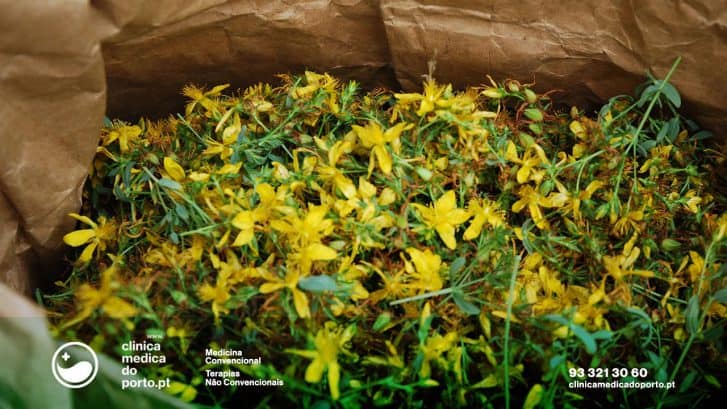 hipericao-clinica-medica-porto