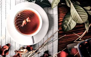 plantas-que-ajudam-a-dormir-clinica-medica-do-porto