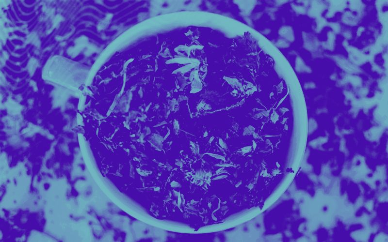 Como Tratar uma Gripe, Constipação ou Resfriado