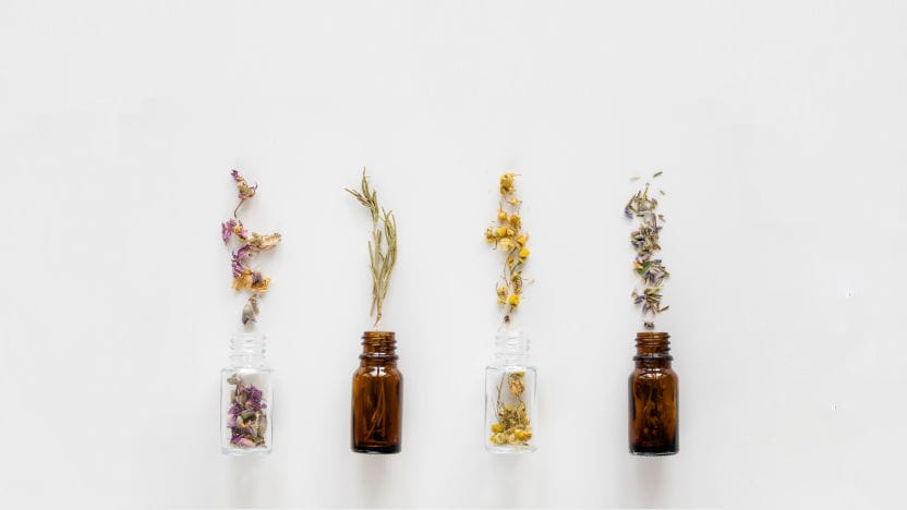 Imagem de plantas em frascos alusiva à Consulta de Fitoterapia da Clínica Médica do Porto