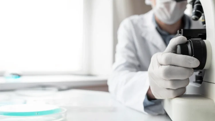 Técnico /Médico com luvas a realizar uma observação ao microscópio